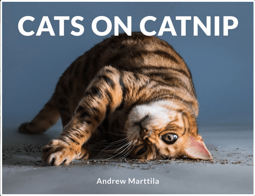 Running Press Adult Books > Art & Gifts > Pets Cats on Catnip - Hardcover 9780762463671 MC-17005