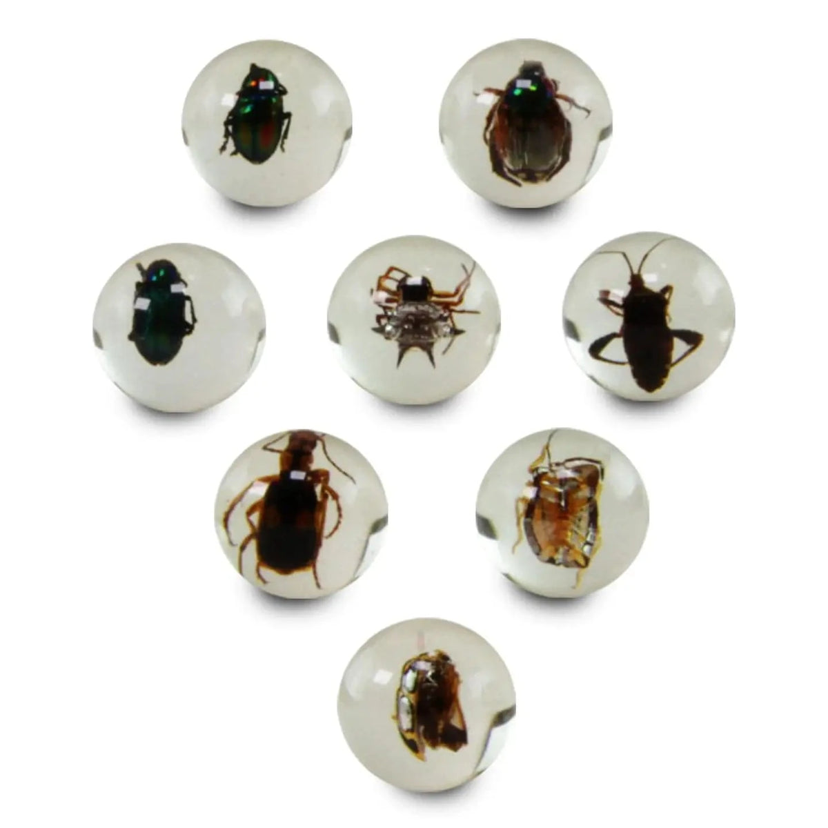 Safari, Ltd. Game Supplies > Other Game Supplies Bug Marbles 095866107567 107566