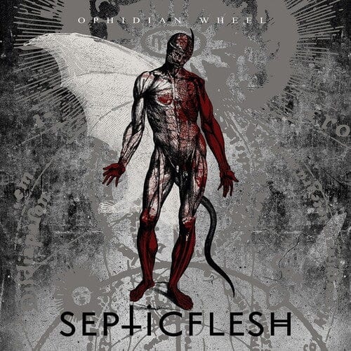 Septicflesh Music > Vinyl Records Septicflesh - Ophidian Wheel 822603728712 SEM287A.1
