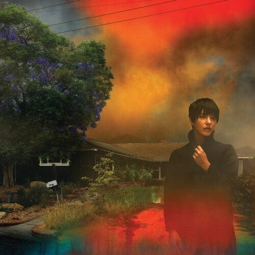 Sharon Van Etten Music > Vinyl Records Van Etten, Sharon - We've Been Going About This All Wrong, Marbled Smoke Vinyl 656605239538 JAGJ3950.1