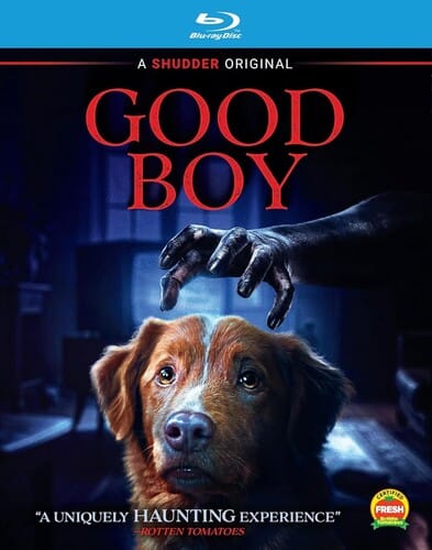 Shudder Movies > Blu-Ray BR: Good Boy 014381005905 SDUR590BR