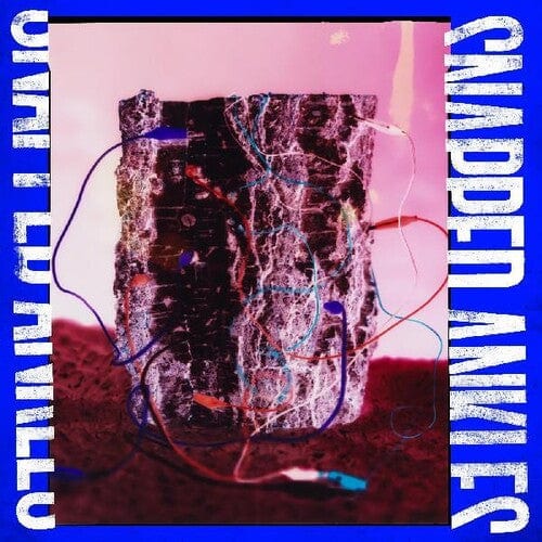 Snapped Ankles Music > Vinyl Records Snapped Ankles - Forest of Your Problems - Black Vinyl 843190012619 LEF126A.1