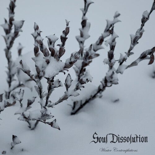 SOUL DISSOLUTION Music > Vinyl Records Soul Dissolution - Winter Contemplations 645239994326 FLDW32.1