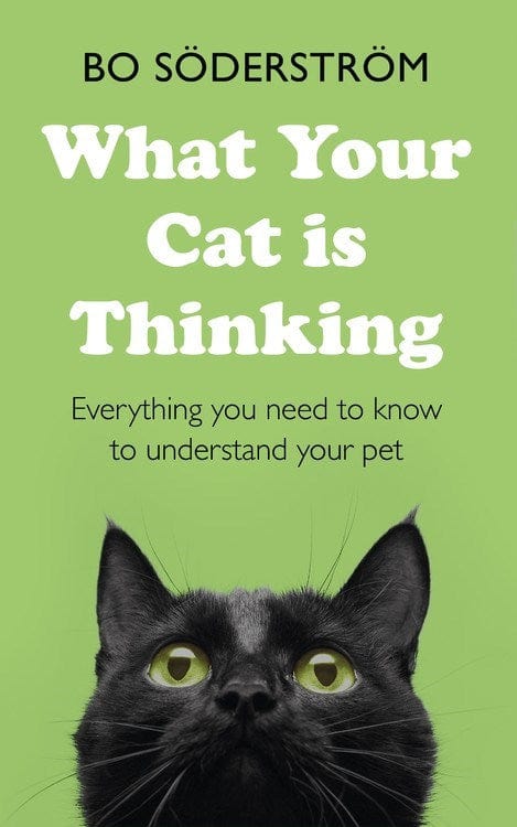 Teach Yourself Books > Art & Gifts > Pets What Your Cat Is Thinking - Paperback 9781473689800 MC-24040