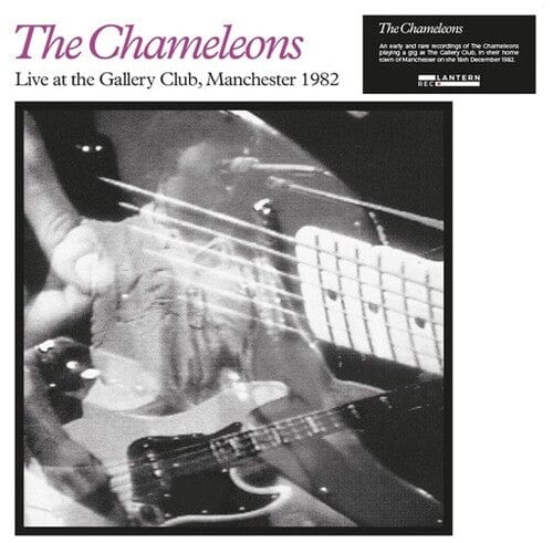 The Chameleons Music > Vinyl Records Chameleons - Live at the Gallery Club 655729196222 LNTN3.1