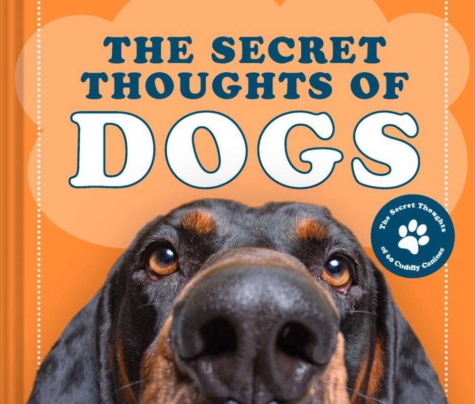 The Collective Book Studio Books > Art & Gifts > Pets The Secret Thoughts of Dogs - Hardcover 9781951412227 MC-32046