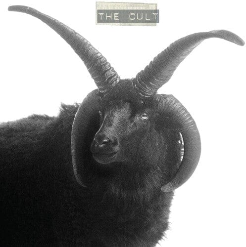The Cult Music > Vinyl Records The Cult - The Cult 607618229917 BQT2299A.1