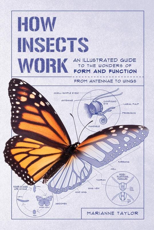 The Experiment Books > Smarts > Science How Insects Work: An Illustrated Guide to the Wonders of Form and Function—from Antenna to Wings - Flexibound 9781615196494 MC-25372