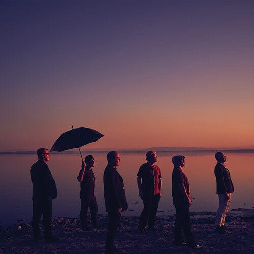 The Slackers Music > Vinyl Records Slackers - Don't Let The Sunlight Fool Ya 810096650030 PIRP319.1