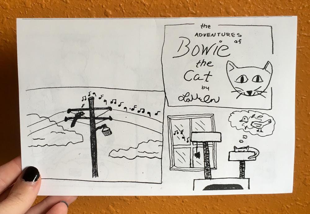 Microcosm Publishing Books > Zines The Adventures of Bowie the Cat - Zine M10918 MC-23676