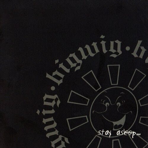 Kung Fu Records Music > Vinyl Records Bigwig - Stay Asleep 610337877215 KUNG78772.1