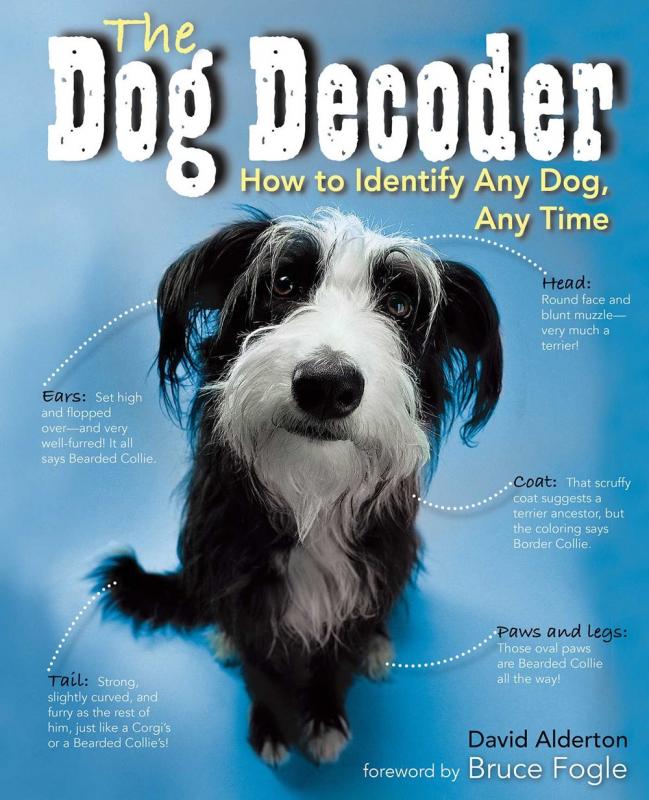 Thunder Bay Press Books > Art & Gifts > Pets Dog Decoder: How to Identify Any Dog, Any Time - Paperback 9781684125593 MC-31061