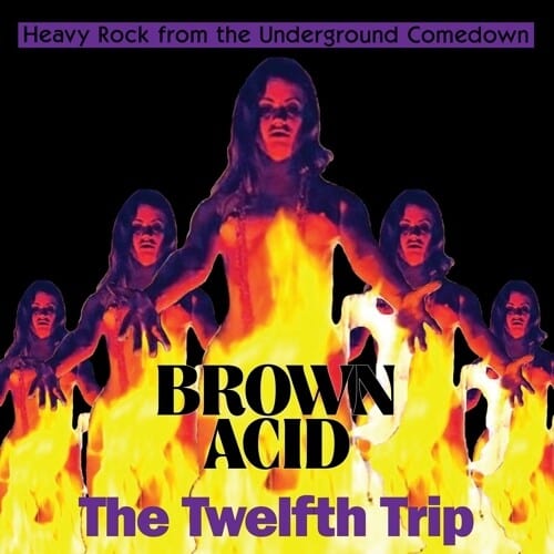 Various Artists Music > Vinyl Records Brown Acid: Twelfth Trip 603111748115 EAER131.1