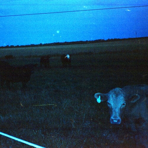 waveform* Music > Vinyl Records Waveform* - Antarctica 810097913837 RFCR255C3.1