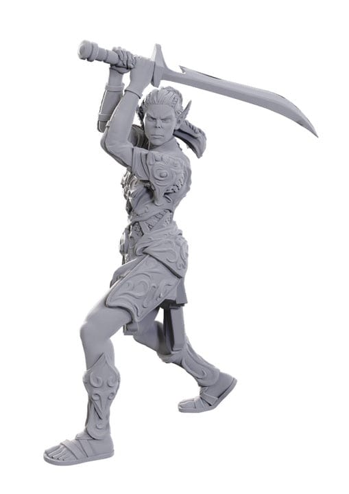 WizKids (Neca) Miniatures > WizKids D&D: Nolzur's Marvelous Unpainted Miniatures - Baldur's Gate 3, Lae'zel & Shadowheart 634482963654 WZK 96365