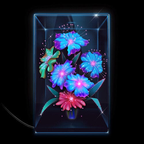 Xenia Rubinos Music > Vinyl Records Xenia Rubinos - Una Rosa 045778771318 ATI87713.1