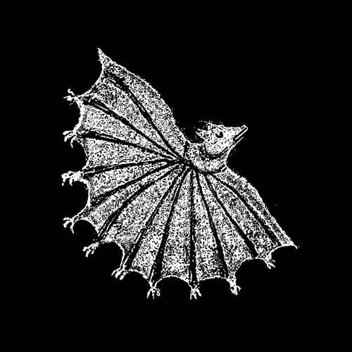 Xiu Xiu Music > Vinyl Records Xiu Xiu - Ignore Grief, Silver Ghost 644110046918 POVL469.1