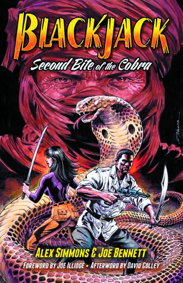 DOVER PUBLICATIONS Graphic Novel Blackjack GN Second Bite Of The Cobra 9780486798523 MAY151301