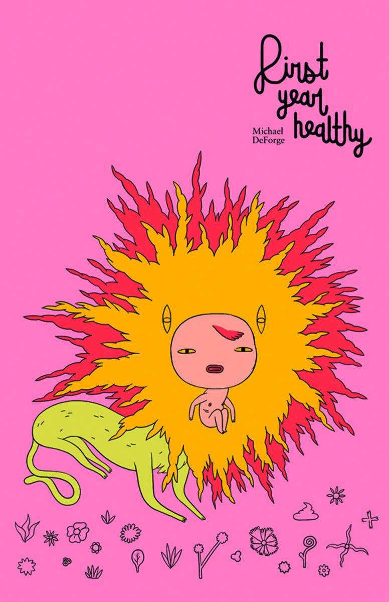 DRAWN & QUARTERLY Graphic Novel First Year Healthy HC 9781770461734 NOV141372