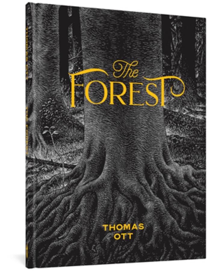 FANTAGRAPHICS BOOKS Graphic Novel The Forest HC 9781683965169 NOV211410