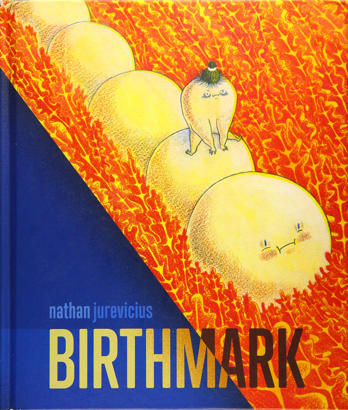 Koyama Press Graphic Novel Birthmark 9781927668399