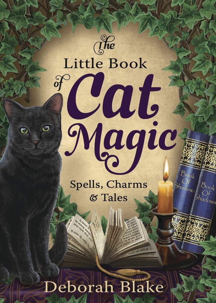 Llewellyn Publications Books Little Book of Cat Magic: Spells Charms & Tales 9780738753232