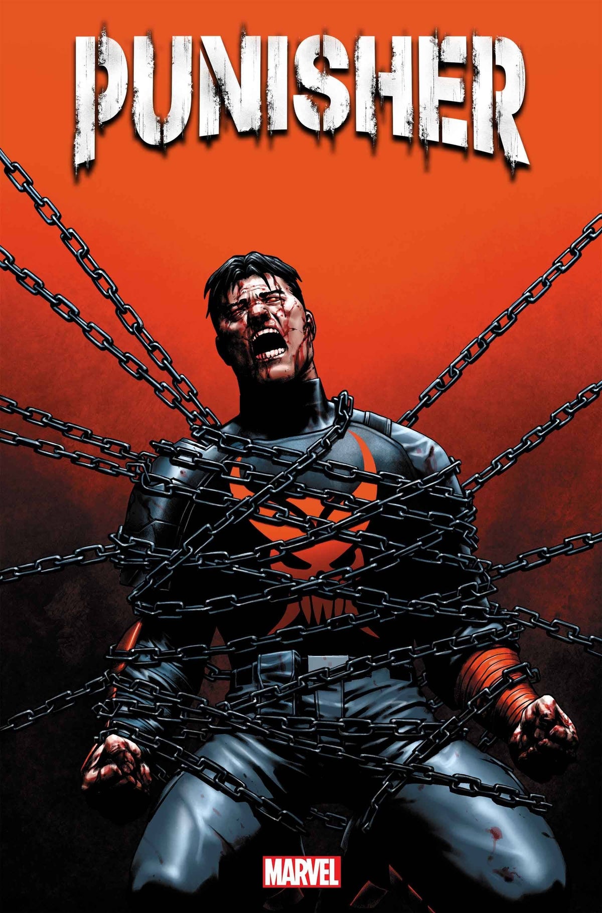 Marvel Comic Books PUNISHER #12 75960620044301211 MAR230875