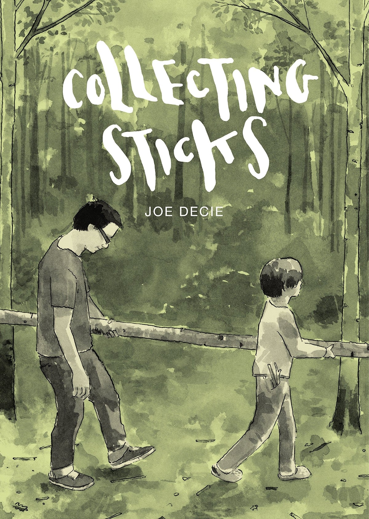 Random House Publishing Group Graphic Novel Collecting Sticks 9781910702734