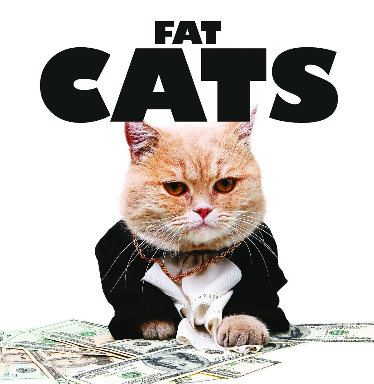 Amber Books Books > Art & Gifts > Pets Fat Cats - Book 9781782744290 MC-22911