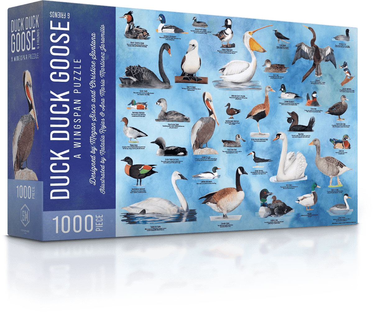 Stonemeier: 500pc Jigsaw - Wingspan, Duck Duck Goose
