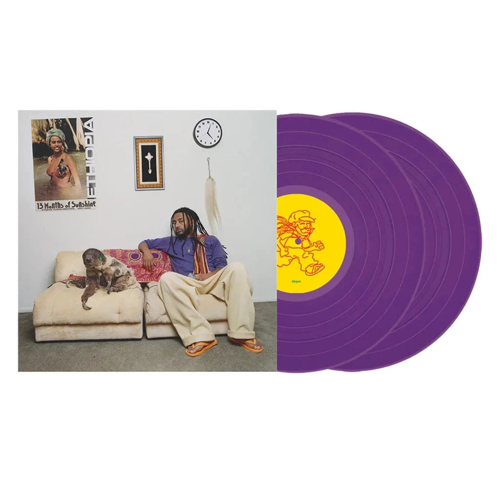 10K Projects Music > Vinyl Records Amine - 13 Months Of Sunshine - Limited Purple Colored Vinyl [Import] 810129980721 IMT2998072.1