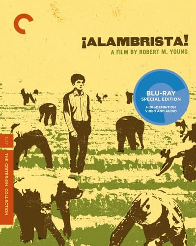 BR: Alambrista! (Criterion Collection).