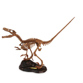 Safari, Ltd. Model Kits > Other Model Kits Geoworld: Paleo Expeditions - Velociraptor Kit 811170017954 102394