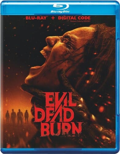 BR: Evil Dead Burn.