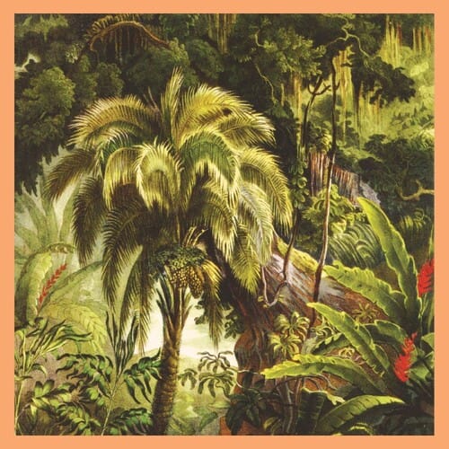 Xiu Xiu - La Foret (Colored Vinyl).