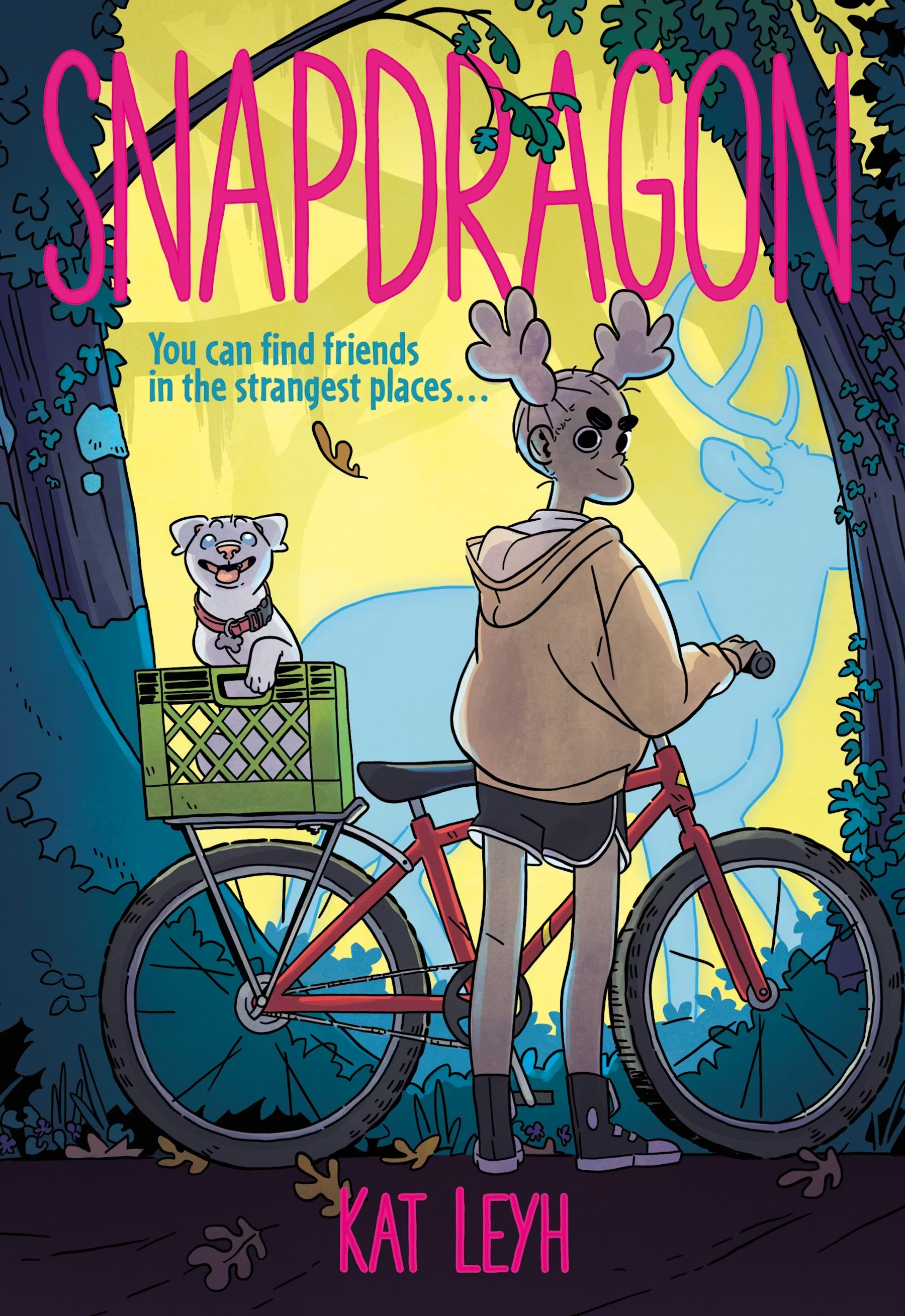 First Second Graphic Novel > Kids Snapdragon 9781250171115 FS-171115