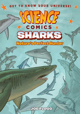 First Second Graphic Novel > Kids Science Comics: Sharks 9781626727885 FS-727885