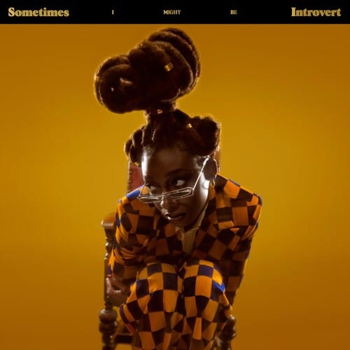 Age 101 Music > Vinyl Records Little Simz - Sometimes I Might Be Introvert - Clear Vinyl 5056167161455 AGE2.1