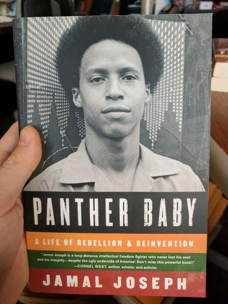 Panther Baby: A Life of Rebellion & Reinvention - Paperback