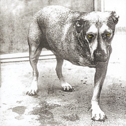 Alice in Chains Music > Compact Discs Alice in Chains - Alice in Chains (CD) 888837130721 SBMK371307.2