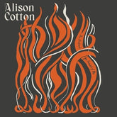 Alison Cotton Music > Vinyl Records Cotton, Alison - Portrait You Painted Of Me 769791980013 FDTB658.1