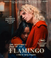ALTERED INNOCENCE Movies > Blu-Ray BR: The Mysterious Gaze of the Flamingo 688187004921 AINO81BR