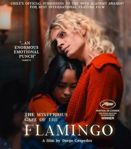 ALTERED INNOCENCE Movies > Blu-Ray BR: The Mysterious Gaze of the Flamingo 688187004921 AINO81BR