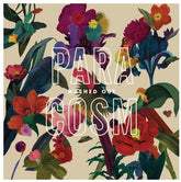 Alternative Distr. Alliance Music > Compact Discs Washed Out - Paracosm [CD] 098787105520 SUB71055.2