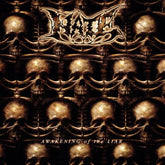 Amplified Media Services, LLC Music > Compact Discs Hate - Awakening of the Liar (Parental Advisory Explicit Lyrics) [CD] 3760053847454 LISB7452.2