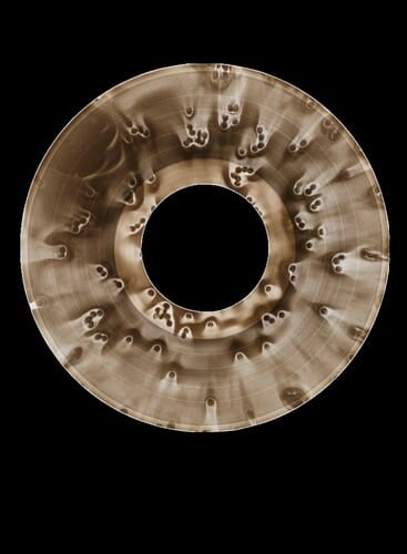 Amplified Media Services, LLC Music > Vinyl Records Army of the Pharaohs - The Unholy Terror (Crown Jewel Edition) [Explicit Content] (Parental Advisory Explicit Lyrics, Colored Vinyl, Poster) 860013147259 ITSK2601.1