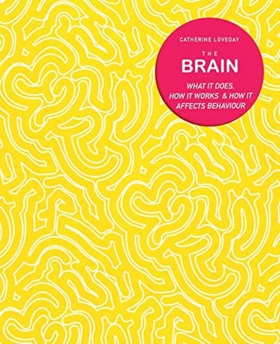 Andre Deutsch Books > Smarts > Science The Brain: What It Does, How It Works, and How It Affects Behaviour - Paperback 9780233005454 MC-31522