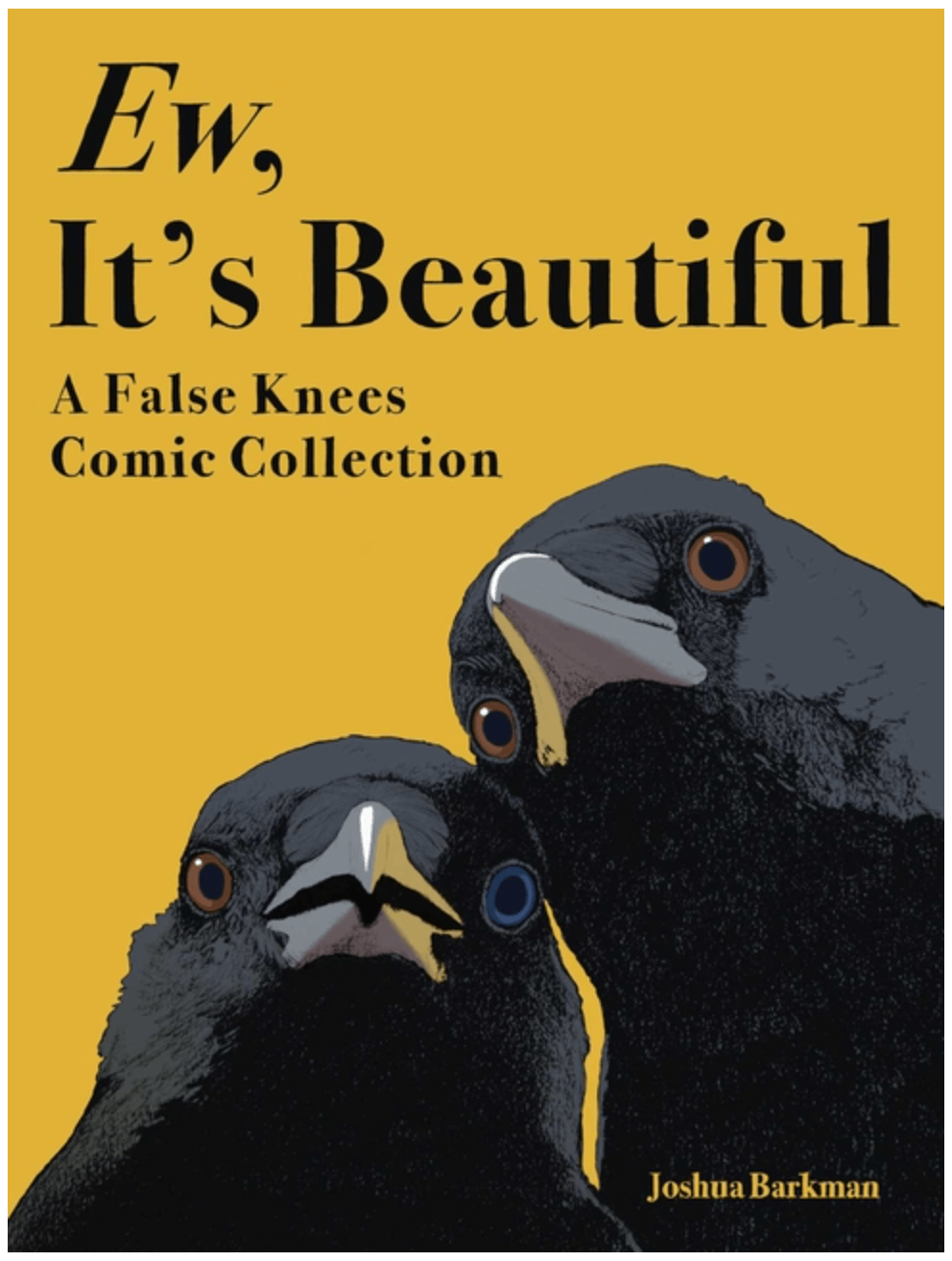 Andrews McMeel Publishing Graphic Novel Ew, It's Beautiful: A False Knees Comic Collection 9781524897642 ING-9781524897642
