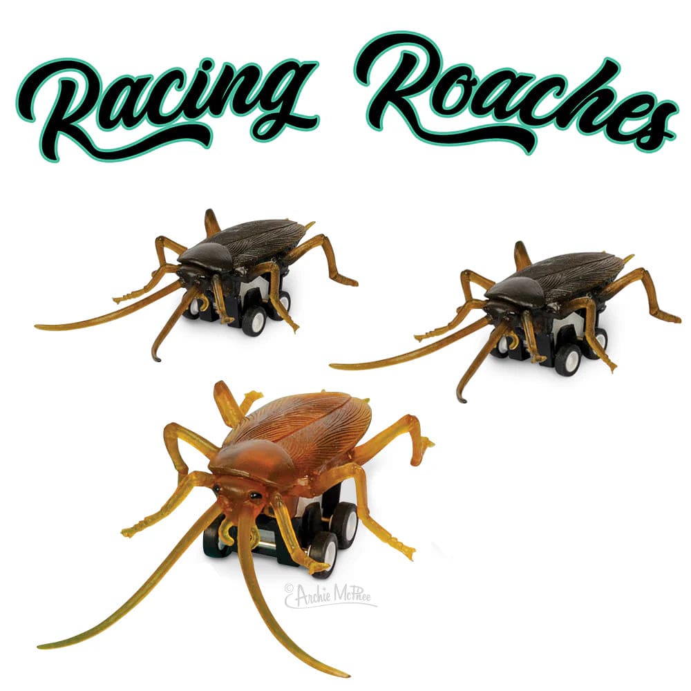 Archie McPhee Toys > Other Toys Archie McPhee: Racing Roaches 739048129397 12939