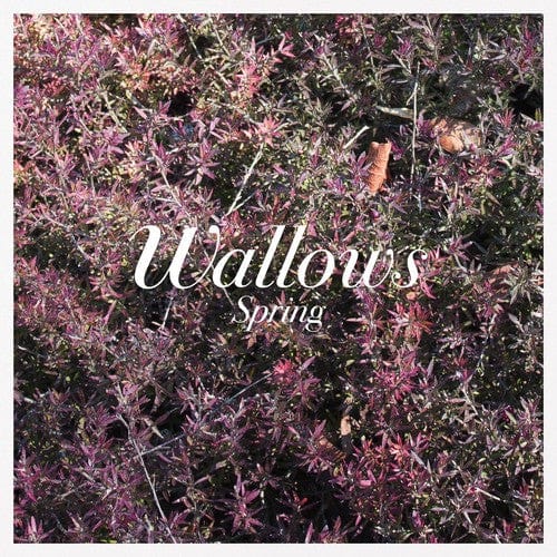 Atlantic Music > Vinyl Records Wallows - Spring [Explicit Content] (Colored Vinyl, Pink, Green) 075678657641 ATL567664.1